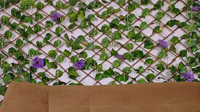 kloe bella online show from January 2026 12:43:02 PM