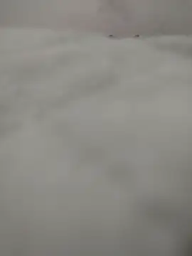 safadomoreno online show from April 2026 12:26:02 AM