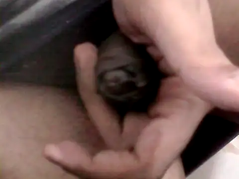 Bakasur 19 online show from October 2025 03:32:01 PM