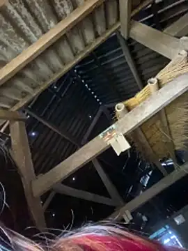 O o UwU o O online show from March 2026 03:10:01 AM