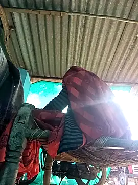 Snapshot of Hot-honi chatting on November 2025 09:42:02 AM Hot-honi online show from November 2025 09:42:02 AM