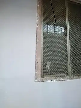 7incpink online show from December 2025 04:18:02 AM