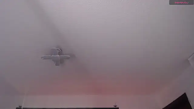  Charlotte Collins  online show from March 2026 02:20:01 PM