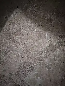 Snapshot of sexy__girls98 chatting on February 2026 11:46:02 AM sexy girls98 online show from February 2026 11:46:02 AM