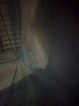 simi-lucy online show from November 2025 01:14:02 PM