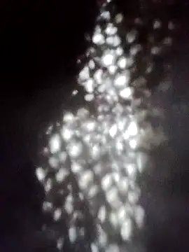 Perropa online show from January 2026 05:28:02 PM