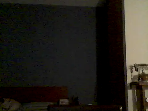 Snapshot of Dudumerg chatting on August 2026 05:34:02 AM Dudumerg online show from August 2026 05:34:02 AM
