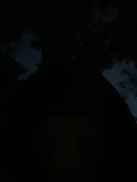 min9811 online show from April 2026 10:50:02 AM