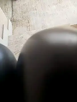 TaraWild online show from February 2026 01:28:01 PM