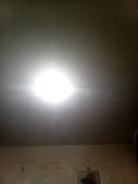 Bebicho14 online show from September 2025 02:22:01 AM