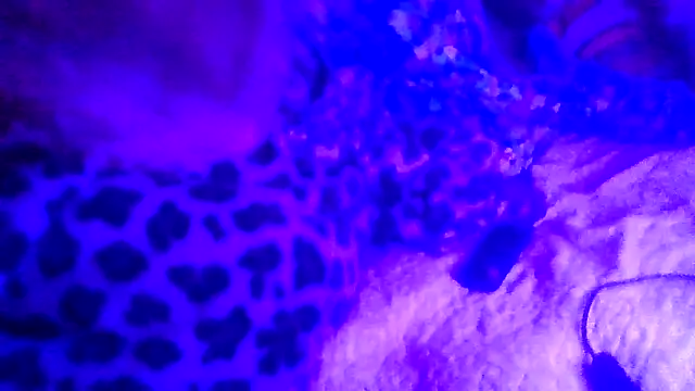 prettymaa online show from February 2026 06:53:01 AM