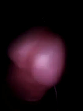 Snapshot of pursan chatting on October 2025 10:18:02 PM pursan online show from October 2025 10:18:02 PM