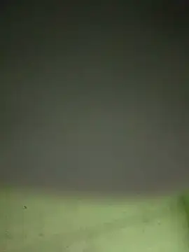 Snapshot of alonsohot1809 chatting on November 2025 07:51:01 AM alonsohot1809 online show from November 2025 07:51:01 AM