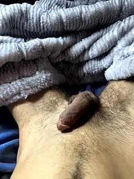 crazyblaze002 online show from January 2026 02:03:01 AM