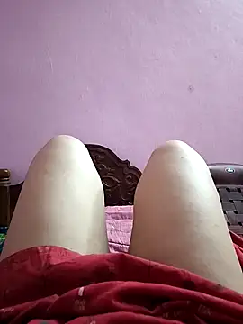 jothitelugu online show from October 2025 10:55:01 AM