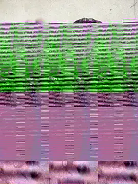 Silly Boy12 online show from November 2025 08:32:01 PM