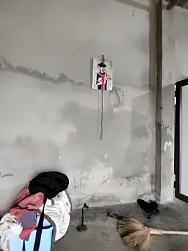 Tin tanny online show from February 2026 01:10:02 AM