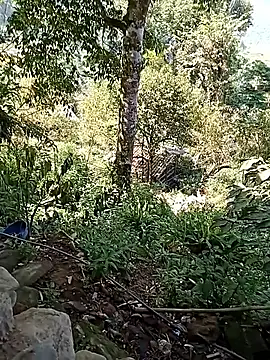 xinhxinhcute online show from September 2025 07:54:01 AM