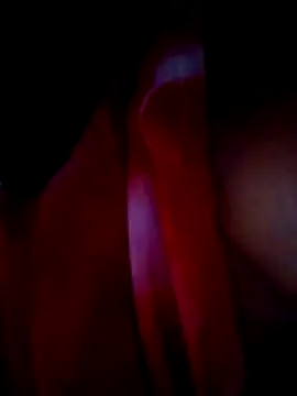 H seema online show from December 2025 12:20:01 PM