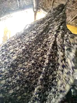 LUCKY cut online show from October 2025 03:07:01 AM