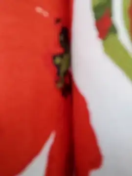  tetas 92 online show from April 2026 03:59:02 PM