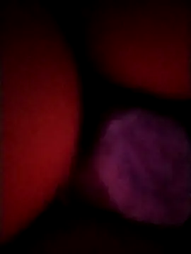  tetas 92 online show from April 2026 01:53:01 AM