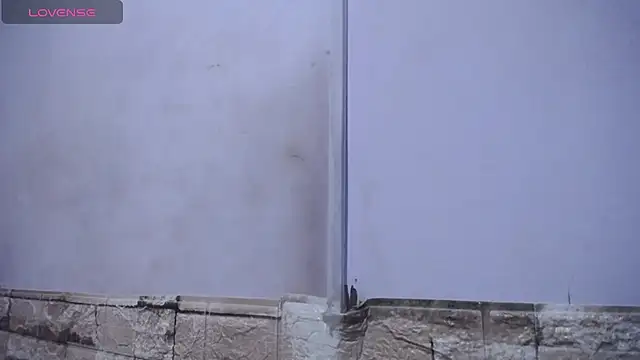 Bicky 24 online show from February 2026 09:19:02 AM