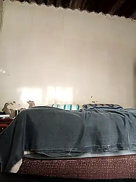 average price online show from October 2025 04:21:01 AM