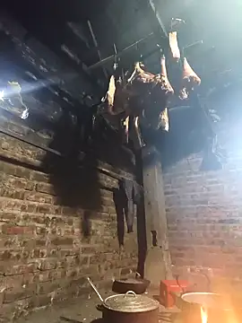 siki-00 online show from February 2026 12:16:02 AM