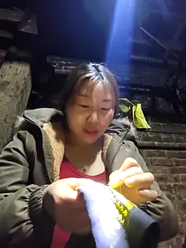 siki-00 online show from March 2026 01:50:01 PM