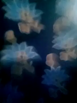 your favourite bhabhi online show from November 2025 01:46:01 PM