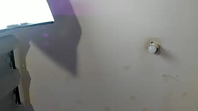 Ambeer fox  online show from February 2026 07:55:02 PM