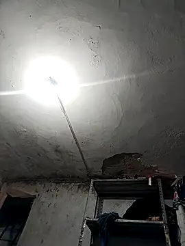 Ferxxxo1503 online show from November 2025 04:24:02 AM