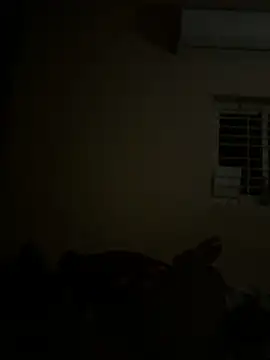 Chaitu-teluguhot online show from February 2026 07:03:02 PM