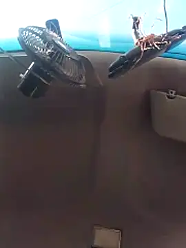 Ghkjccvk online show from February 2026 03:34:02 PM