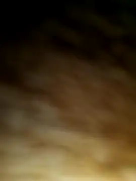 Snapshot of WolfMenSL chatting on October 2025 03:37:02 AM WolfMenSL online show from October 2025 03:37:02 AM