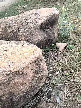 Ag punam online show from November 2025 10:43:02 AM