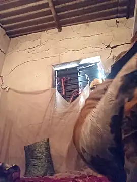 Notyriya7 online show from April 2026 04:50:02 AM