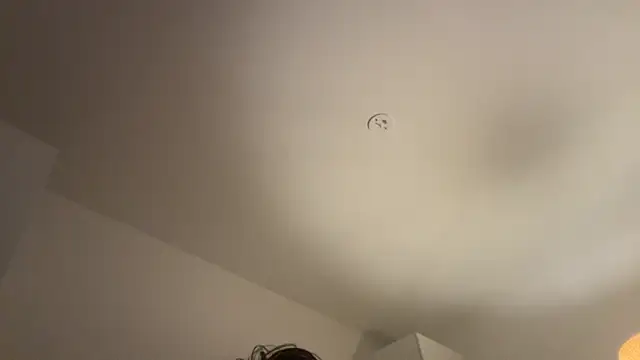 Swedishfish69 online show from February 2026 04:32:01 PM