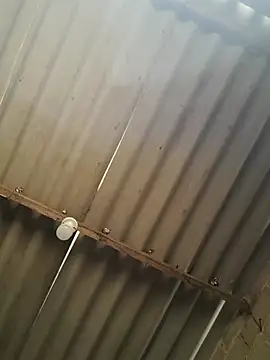 Snapshot of kiimferv chatting on November 2025 02:38:02 PM kiimferv online show from November 2025 02:38:02 PM