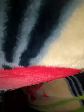 Chanderi19 online show from April 2026 04:50:02 PM