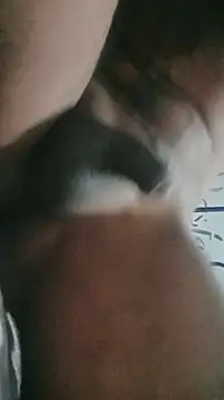 ElRompeponchi online show from September 2025 10:31:01 AM