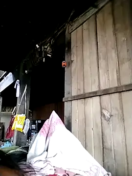 Snapshot of Samdim23 chatting on October 2025 02:29:01 AM Samdim23 online show from October 2025 02:29:01 AM