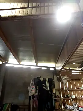 SSexykute3456 online show from October 2025 03:15:02 AM