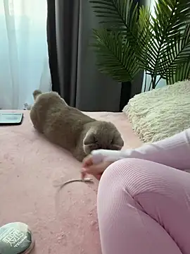 Andrestarr online show from March 2026 02:55:01 PM