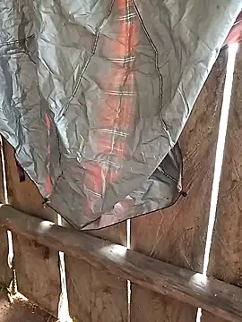 Snapshot of bonnie-00 chatting on November 2025 03:16:02 AM bonnie-00 online show from November 2025 03:16:02 AM