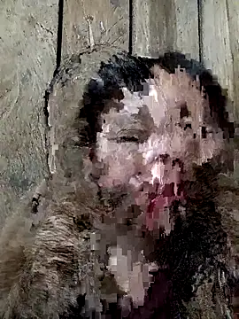 Snapshot of bonnie-00 chatting on November 2025 11:40:02 AM bonnie-00 online show from November 2025 11:40:02 AM