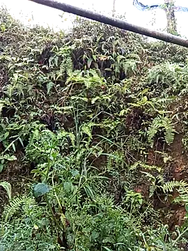 bonnie-00 online show from April 2026 11:07:02 PM