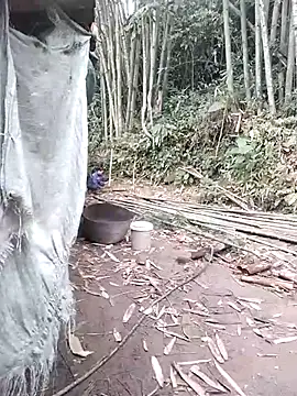 Dung x online show from April 2026 12:52:02 AM