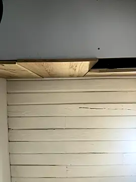 Snapshot of SienaWild chatting on December 2025 03:11:01 AM SienaWild online show from December 2025 03:11:01 AM